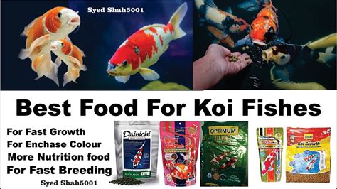japanese koi food.
